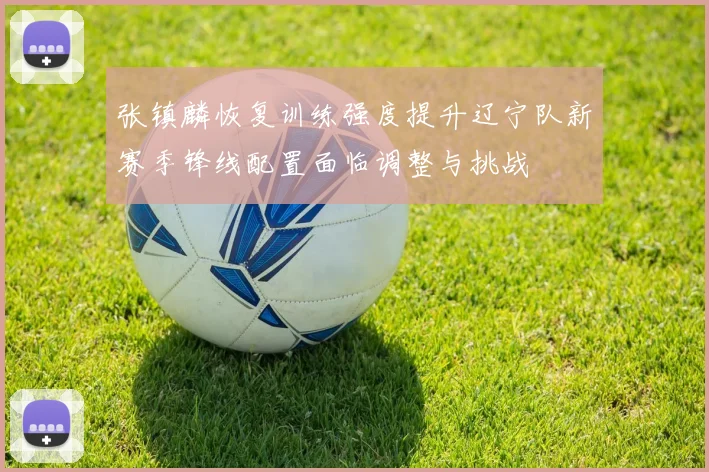 张镇麟恢复训练强度提升辽宁队新赛季锋线配置面临调整与挑战