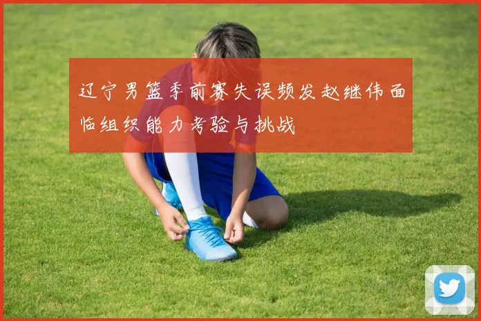 辽宁男篮季前赛失误频发赵继伟面临组织能力考验与挑战