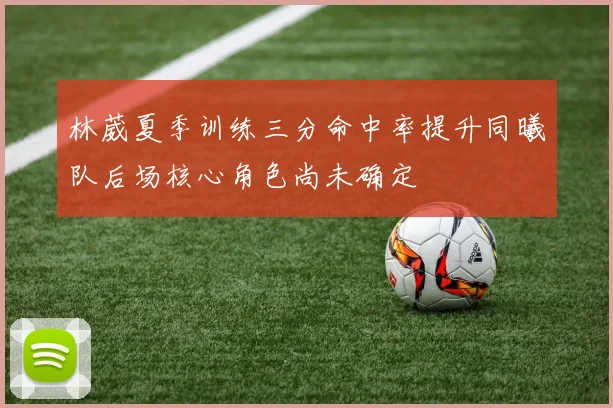 林葳夏季训练三分命中率提升同曦队后场核心角色尚未确定