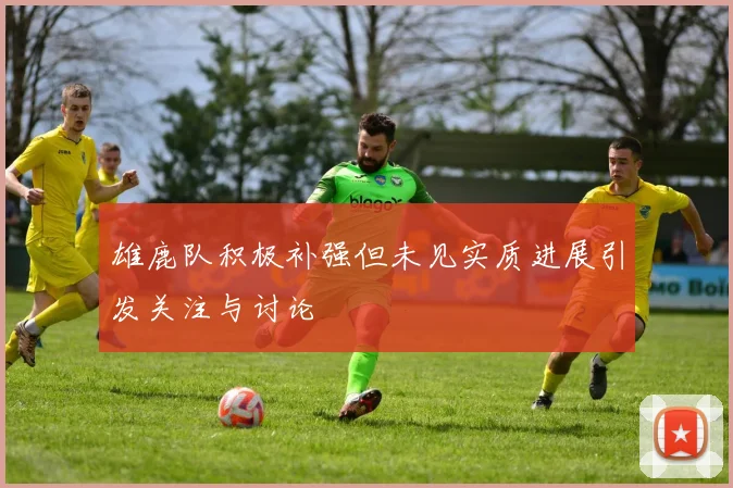 雄鹿队积极补强但未见实质进展引发关注与讨论