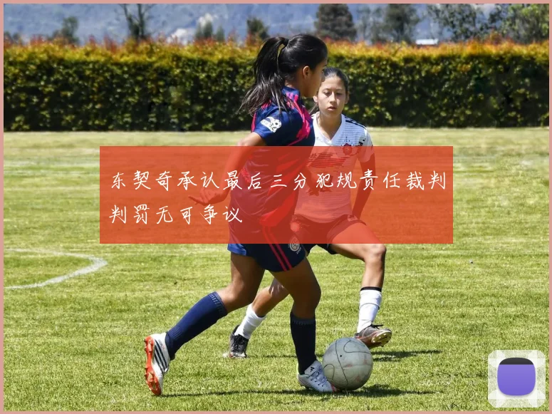东契奇承认最后三分犯规责任裁判判罚无可争议